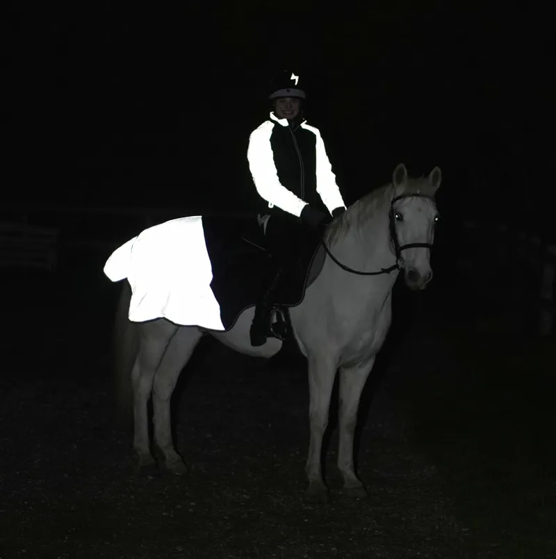 Hy Equestrian Silva Flash Hat Silk - Black/Reflective Silver-2